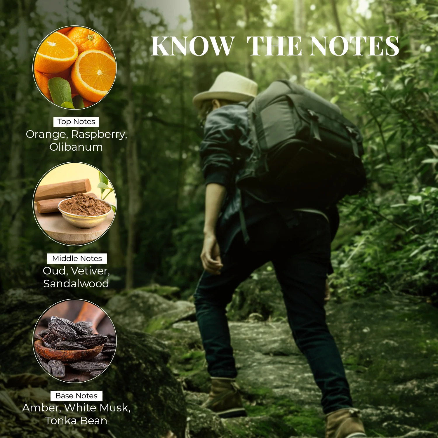 Energising Forest Wood - Image 4