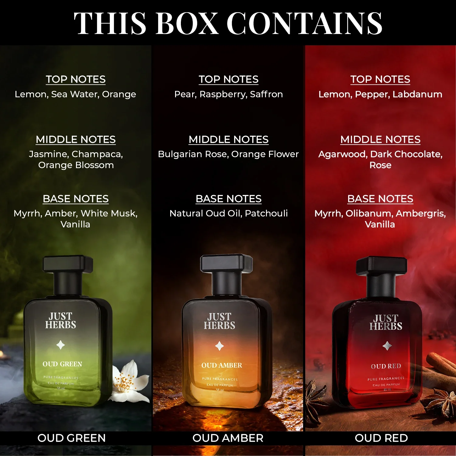Intense Oud Trio - Image 4