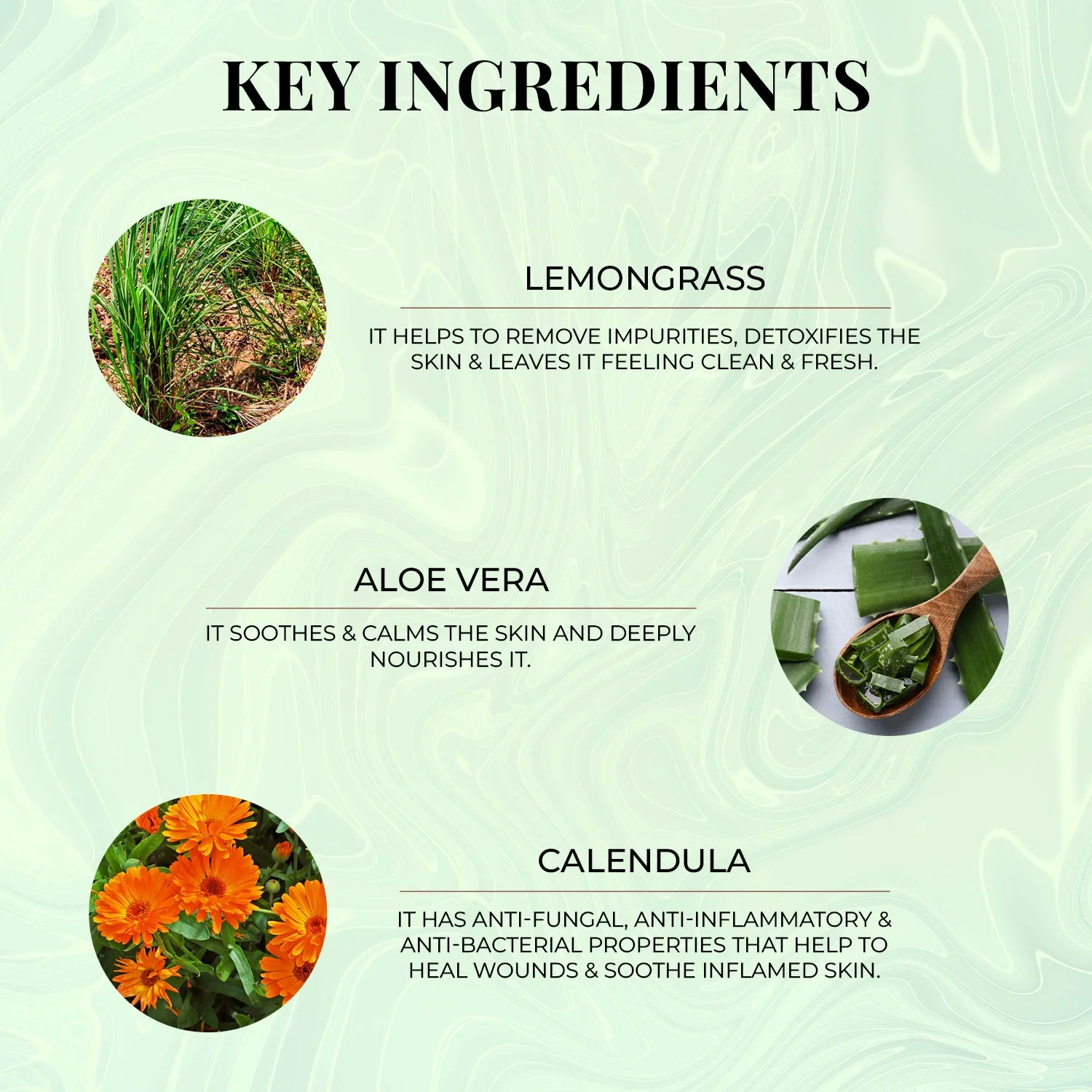 Malabar Lemongrass Body Wash - Image 5