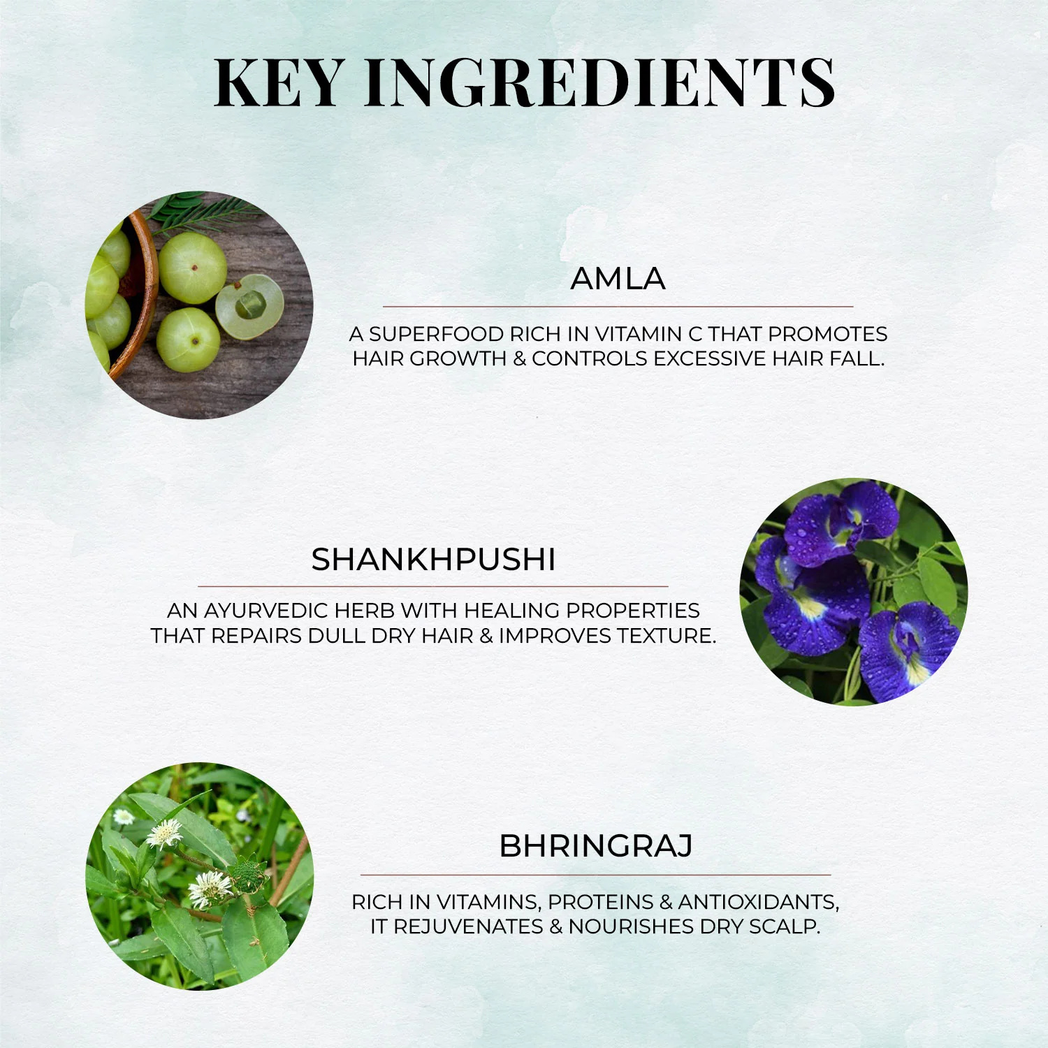 Moisturising Hair Mask with Amla and Shankhpushpi - Image 4
