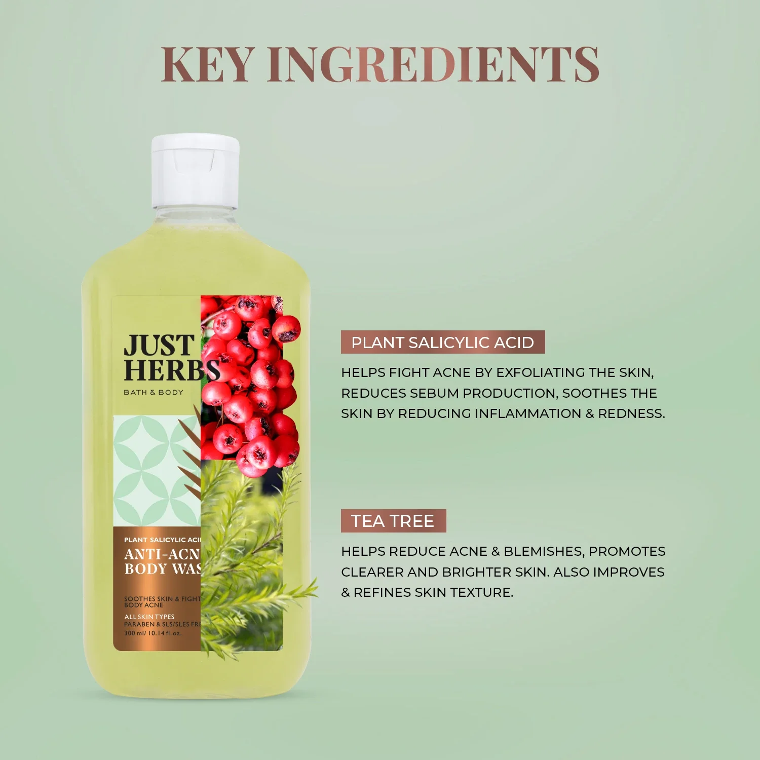 Tea Tree Anti-acne Body Wash with Plant Salicylic Acid - Image 4